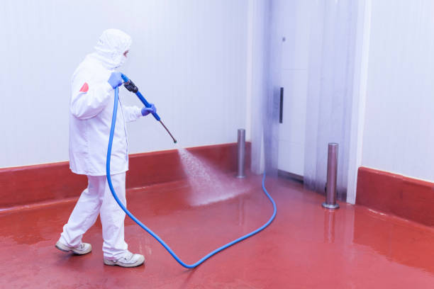Best Paint Preparation  in Fennville, MI