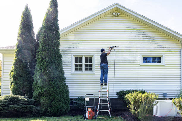 Best Restaurant Pressure Washing  in Fennville, MI