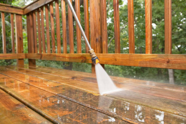 Best House Exterior Washing  in Fennville, MI